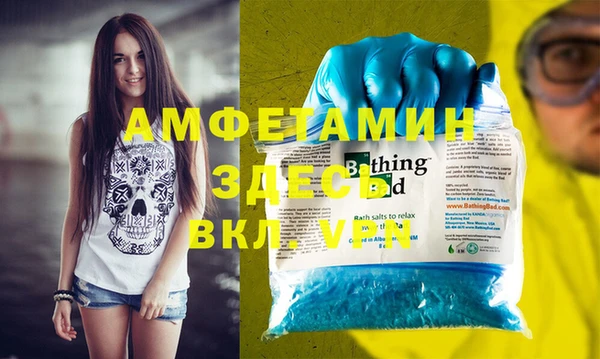 стаф Алексин