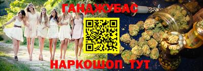 крисы Лесосибирск
