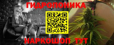 крисы Лесосибирск