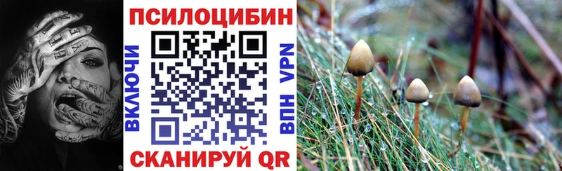 Псилоцибиновые грибы Magic Shrooms  закладки  Зеленогорск 