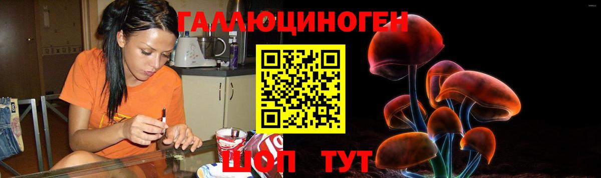Псилоцибиновые грибы Psilocybe  Вход с VPN  Зеленогорск  дарнет шоп  Псилоцибиновые грибы ЛСД 