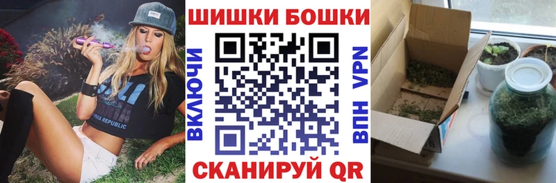 Канабис сатива Зеленогорск